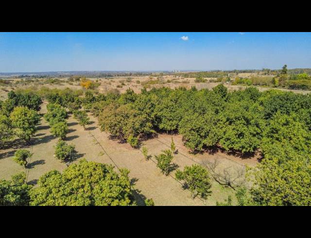 FARM FOR SALE IN BULTFONTEIN A H